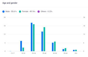 audience insights group profile oage