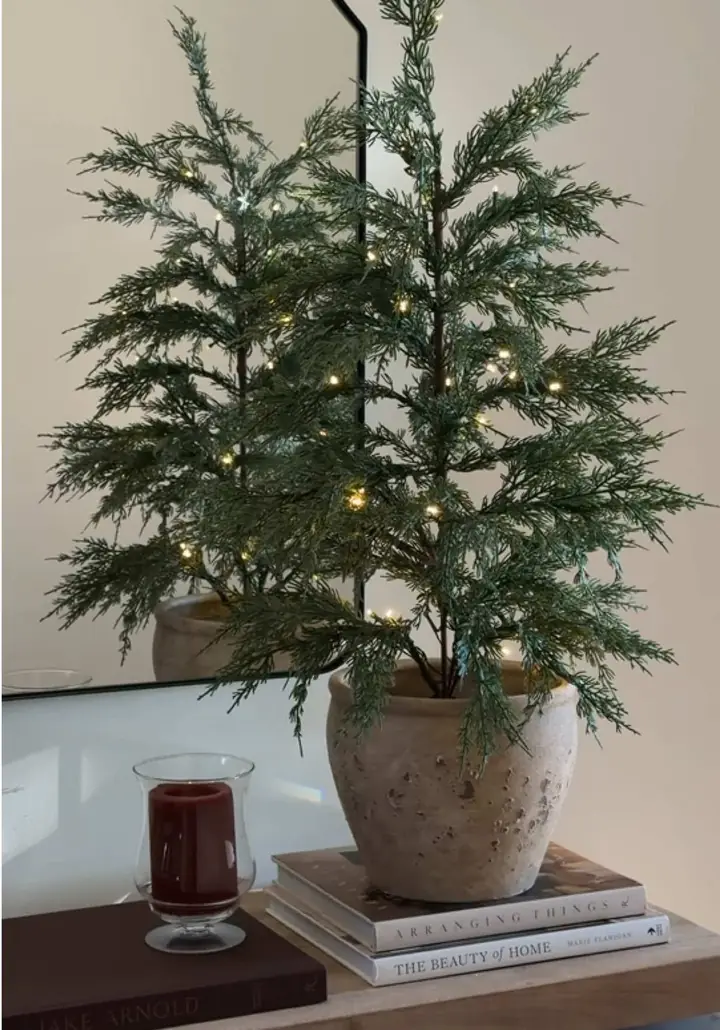 Americans are decking the halls in October and joking about it 🎄